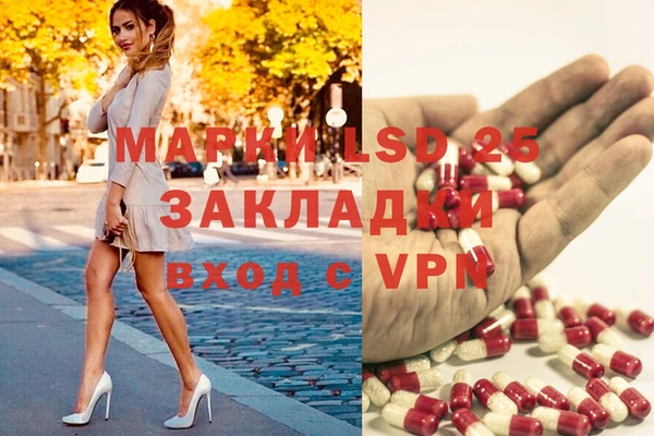 Альфа ПВП Аркадак