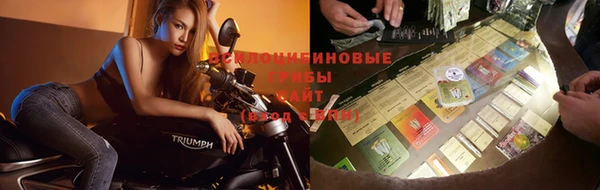 mdpv Алзамай