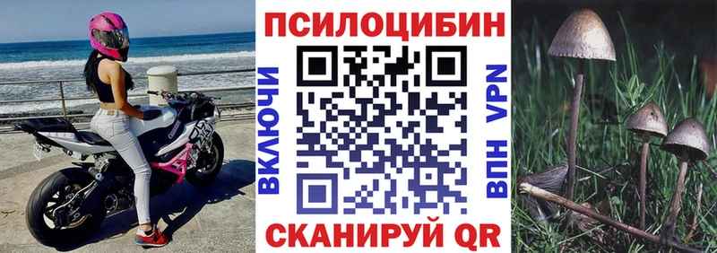 Галлюциногенные грибы Psilocybine cubensis купить Коломна