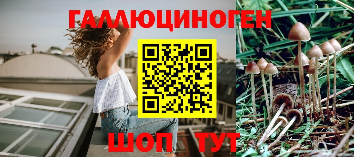 Галлюциногенные грибы мицелий  Вход с VPN  Галлюциногенные грибы мухоморы  Коломна 