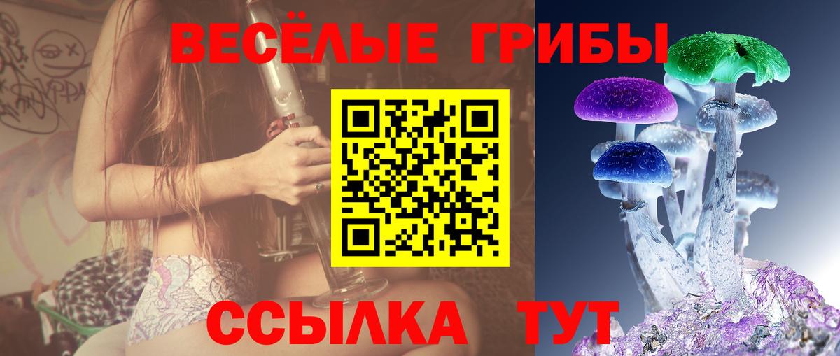 Галлюциногенные грибы GOLDEN TEACHER Коломна